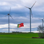 The Green Transition of SMEs and Entrepreneurship in Portugal